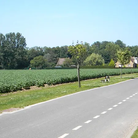 La Clairiere * Socx