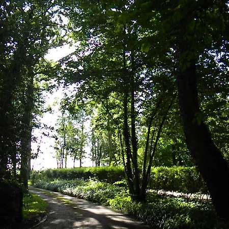 La Clairiere